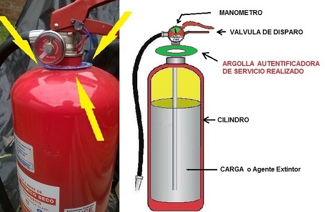 argolla